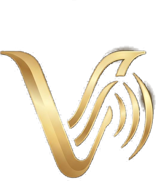 VoxAgent Logo